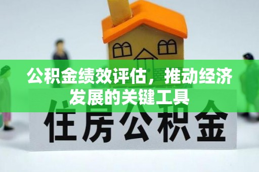 巨鹿公积金绩效评估，推动经济发展的关键工具