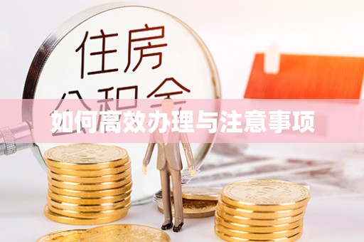 巨鹿如何高效办理与注意事项