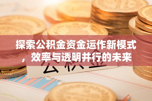 巨鹿探索公积金资金运作新模式，效率与透明并行的未来