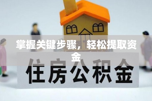 巨鹿掌握关键步骤，轻松提取资金