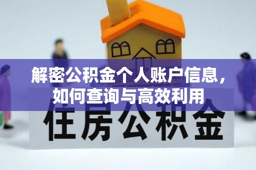 巨鹿解密公积金个人账户信息，如何查询与高效利用