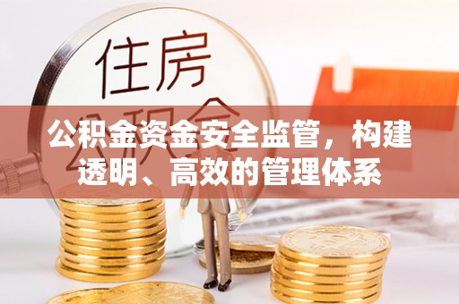 巨鹿公积金资金安全监管，构建透明、高效的管理体系