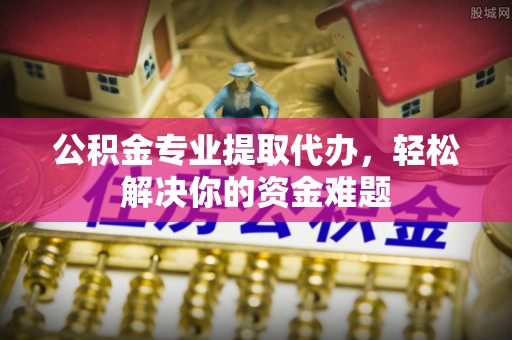 巨鹿公积金专业提取代办，轻松解决你的资金难题
