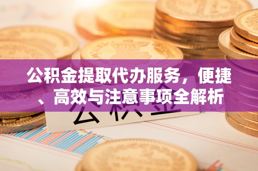 巨鹿公积金提取代办服务，便捷、高效与注意事项全解析