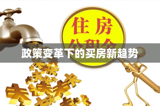巨鹿政策变革下的买房新趋势