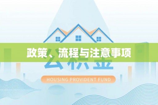 巨鹿政策、流程与注意事项