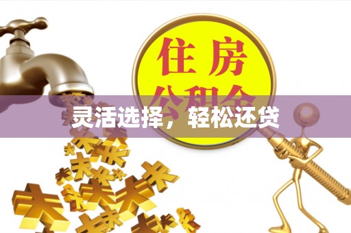 巨鹿灵活选择，轻松还贷