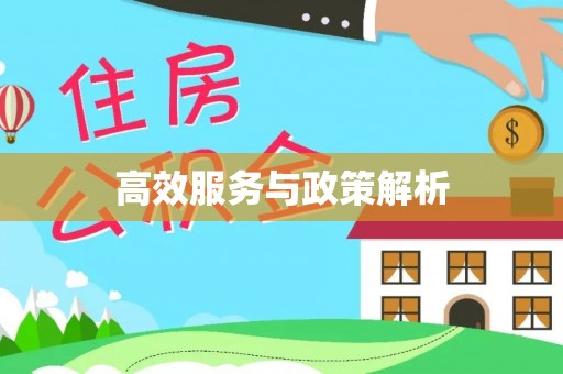 巨鹿高效服务与政策解析