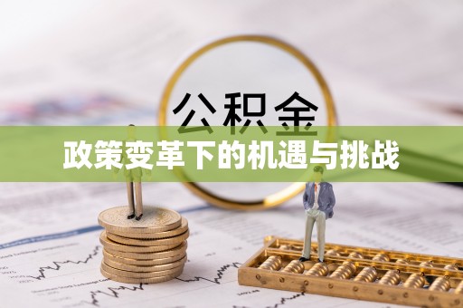 巨鹿政策变革下的机遇与挑战