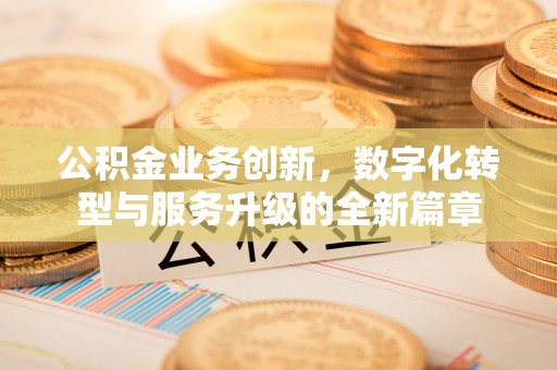 巨鹿公积金业务创新，数字化转型与服务升级的全新篇章