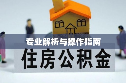 巨鹿专业解析与操作指南