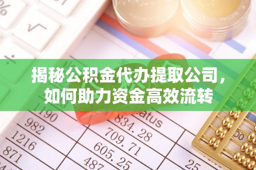 巨鹿揭秘公积金代办提取公司，如何助力资金高效流转