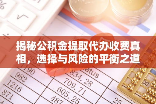 巨鹿揭秘公积金提取代办收费真相，选择与风险的平衡之道