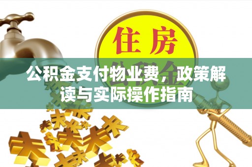 巨鹿公积金支付物业费，政策解读与实际操作指南