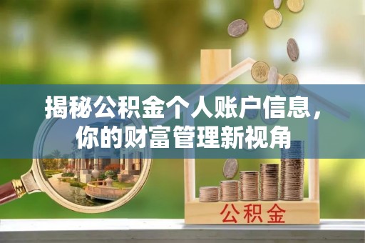 巨鹿揭秘公积金个人账户信息，你的财富管理新视角