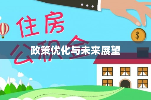 巨鹿政策优化与未来展望