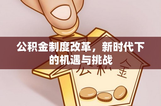 巨鹿公积金制度改革，新时代下的机遇与挑战