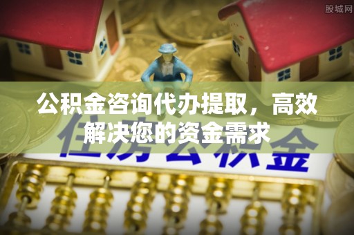巨鹿公积金咨询代办提取，高效解决您的资金需求