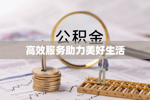 巨鹿高效服务助力美好生活