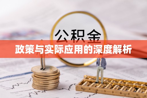 巨鹿政策与实际应用的深度解析