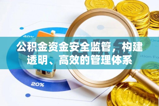 巨鹿公积金资金安全监管，构建透明、高效的管理体系