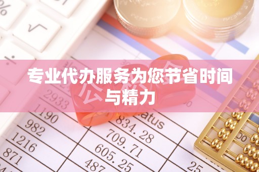 巨鹿专业代办服务为您节省时间与精力