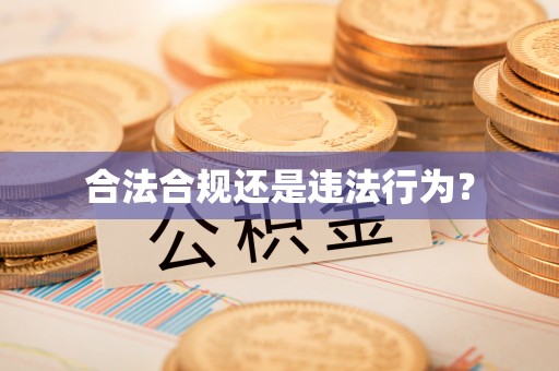巨鹿合法合规还是违法行为？
