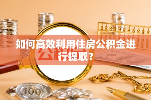 巨鹿如何高效利用住房公积金进行提取？