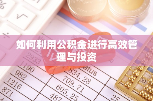 巨鹿如何利用公积金进行高效管理与投资