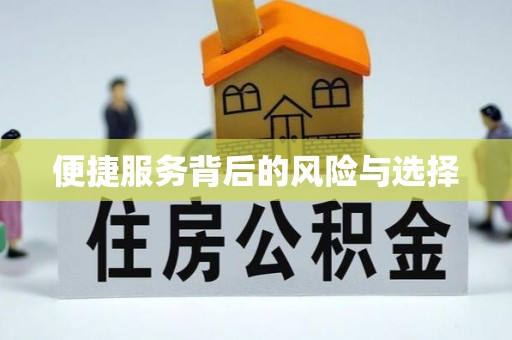 巨鹿便捷服务背后的风险与选择