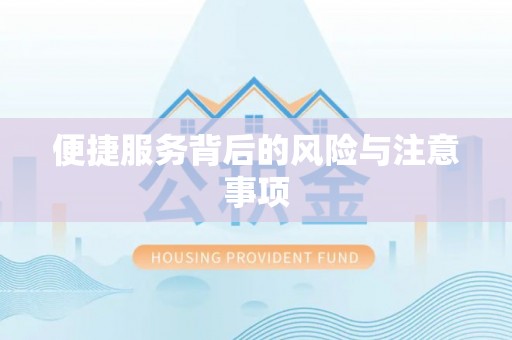 巨鹿便捷服务背后的风险与注意事项