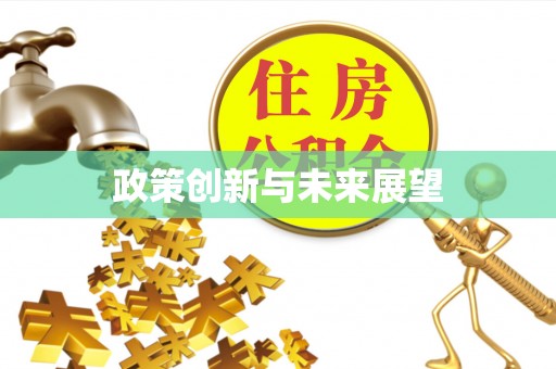 巨鹿政策创新与未来展望