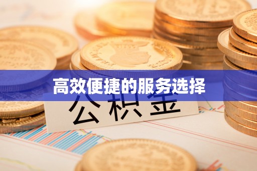巨鹿高效便捷的服务选择